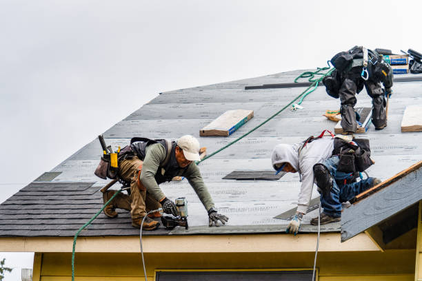 Professional Gutter Installation technician working in Constantine, MI